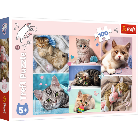 Puzzle Trefl In lumea pisicilor, 100 piese, Lean 14326